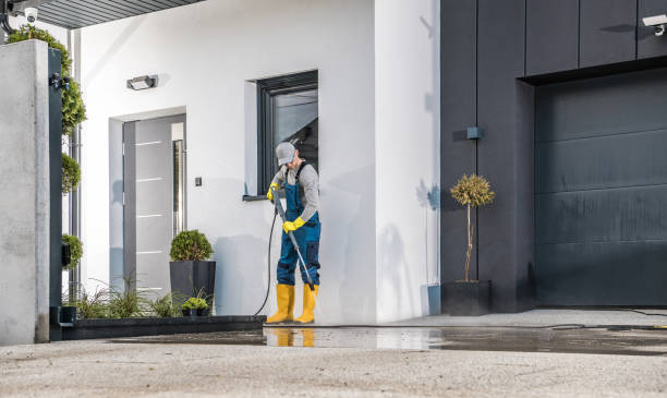 Best Animal Enclosure Cleaning  in West Samoset, FL